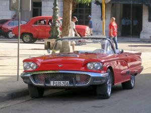Cowboy in a Thunderbird