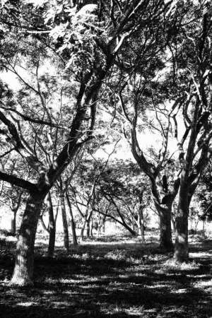 1_DSC03270