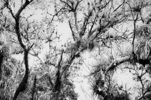DSC03610-Edit